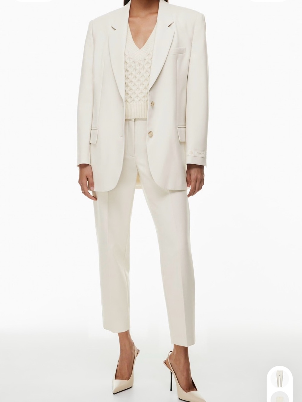Aritzia Minter Pant (ankle length)